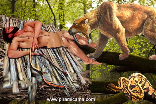 Cama en los árboles