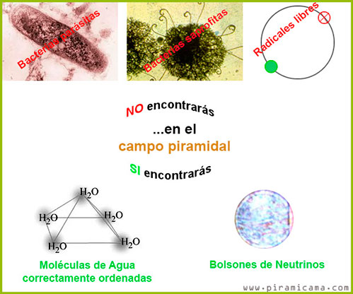 Efecto anti-bacterias de las pirámides