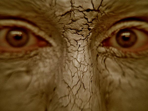 Tratamiento fangoterapia en rostro