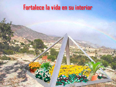 Plantas revitalizadas en una pirámide de jardín