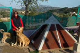 Mujer con perros y piramascota
